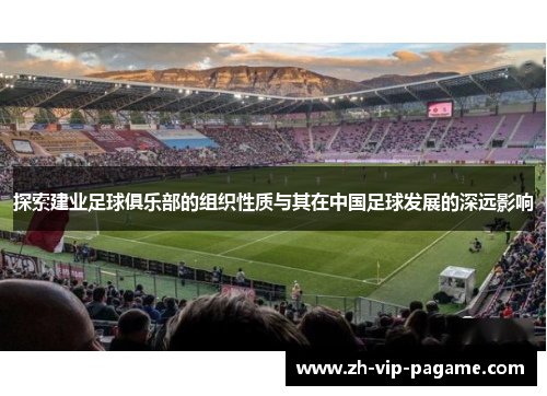 探索建业足球俱乐部的组织性质与其在中国足球发展的深远影响