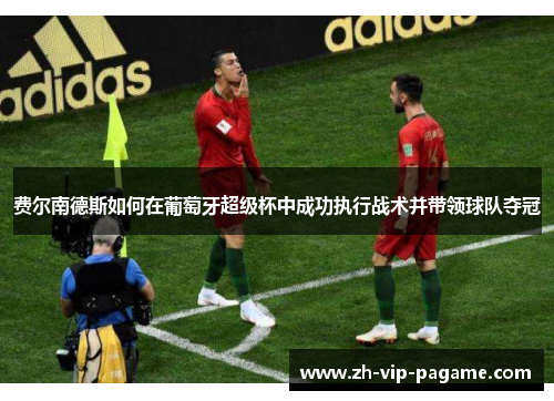 费尔南德斯如何在葡萄牙超级杯中成功执行战术并带领球队夺冠